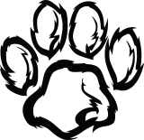 Avontuur en vriendschap voor kinderen met Paw Patrol